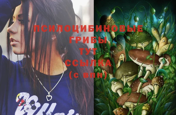 соль ск Горняк
