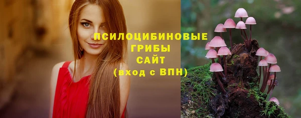 прущая мука Пролетарск