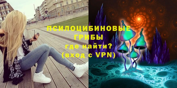 соль ск Горняк