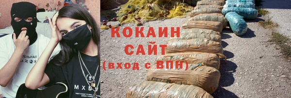 соль ск Горняк