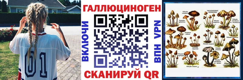 что такое Избербаш Псилоцибиновые грибы Psilocybine cubensis