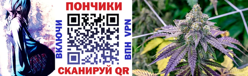 купить  сайты  Избербаш  блэк спрут онион  Шишки марихуана ГИДРОПОН 